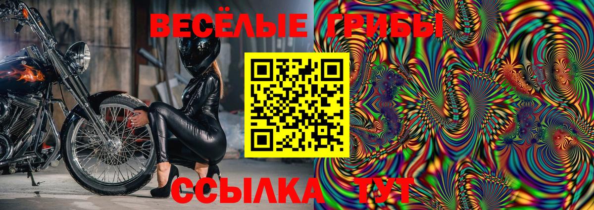 Галлюциногенные грибы Cubensis Сафоново