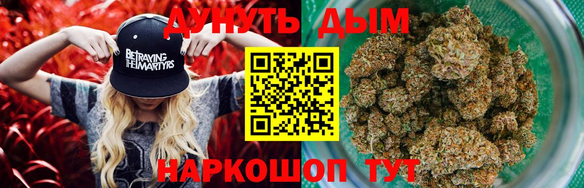 Конопля гибрид Сафоново
